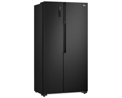 Tủ lạnh LG Inverter 519 lít GR-B256BL