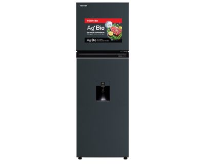 Tủ lạnh Toshiba Inverter 249 lít GR-RT325WE-PMV(06)-MG