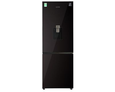 Tủ lạnh Samsung Inverter 307 lít RB30N4190BY/SV