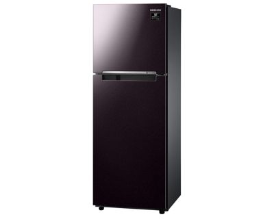 Tủ lạnh Samsung Inverter 236 lít RT22M4032BY/SV