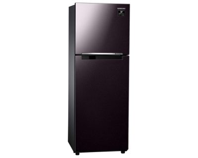Tủ lạnh Samsung Inverter 236 lít RT22M4032BY/SV