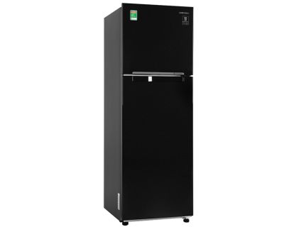 Tủ lạnh Samsung Inverter 256 lít RT25M4032BU/SV