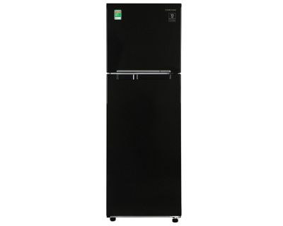 Tủ lạnh Samsung Inverter 256 lít RT25M4032BU/SV