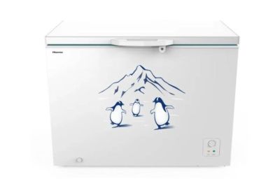 Tủ đông Hisense 300 lít FC380D4EWC1