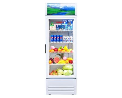 Tủ mát Sanaky 300 lít VH-3588K