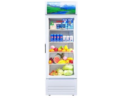 Tủ mát Sanaky Inverter 300 lít VH-3588K3