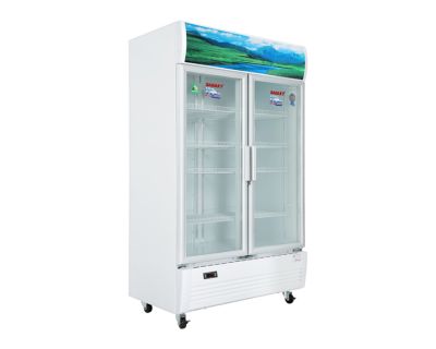 Tủ Mát Sanaky 900 lít Inverter VH-1009HP3