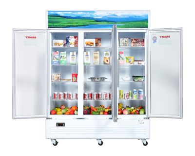 Tủ mát Sanaky 1400 lít VH-1520HP