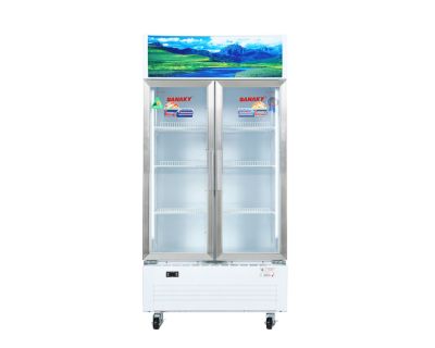 Tủ mát Sanaky 500 lít VH-6009HP