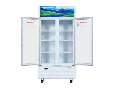 Tủ mát Sanaky 500 lít VH-6009HP