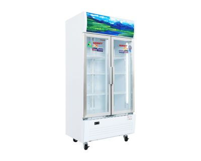 Tủ mát Sanaky 500 lít VH-6009HP