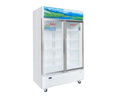 Tủ mát Sanaky 1100 lít VH-1209HP
