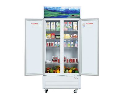 Tủ mát Sanaky Inverter 1100 lít VH-1209HP3