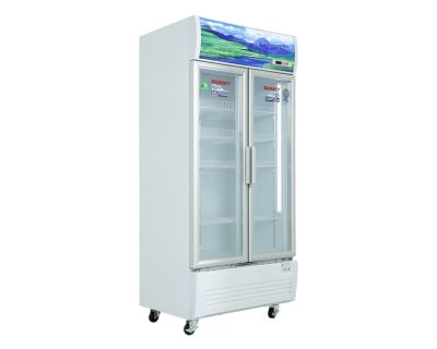 Tủ mát Sanaky Inverter 1100 lít VH-1209HP3