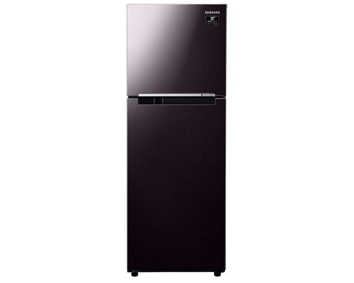 Tủ lạnh Samsung Inverter 236 lít RT22M4032BY/SV