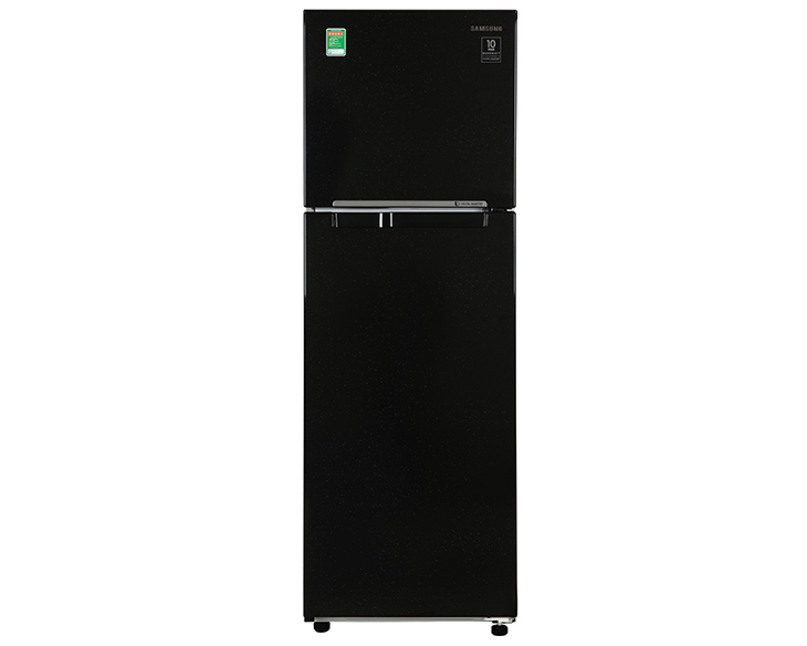 Tủ lạnh Samsung Inverter 256 lít RT25M4032BU/SV